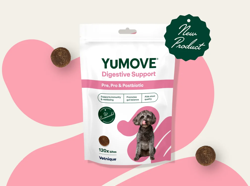 Healthy Joints, Happy Wagging Tails